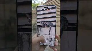 Honor Magic 6 Pro Zoom Test 🔥