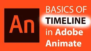 Adobe Animate CC 2019 -  timeline