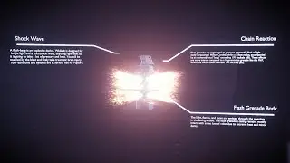 How Stun Grenade Works? M84 Flashbang Explained