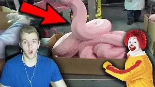 What's Inside Chicken McNuggets!!!