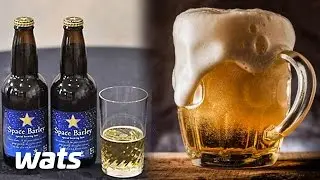 Top 10 World's Most Expensive Beers || Best of Ten