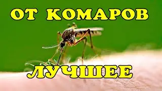 Лучшее от комаров и мошек!