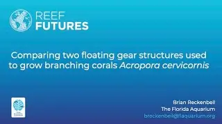 Comparing two floating gear structures used to grow branching corals Acropora cervicornis