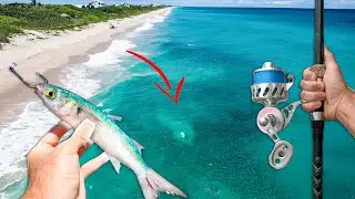 96hrs Chasing Florida's Most Epic Fish Migration (Mullet Run Fishing)