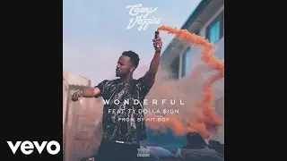 Casey Veggies - Wonderful (Audio) ft. Ty Dolla $ign