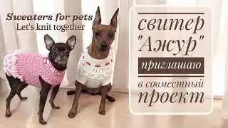 Приглашение на СП свитер "Ажур", Sweaters for pets