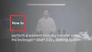 How to perform a western blot dry transfer using the Invitrogen iBlot 2 Dry Blotting System