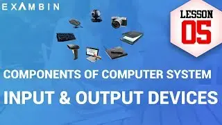 Components of Computer System – Input output devices of computers | Computer awareness - Lesson 5