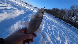 По шол ближе к ОБИ А там крупная плотва на безмотылку