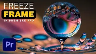 How to Freeze a Frame of a Video in Premiere Pro