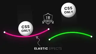 CSS Elastic Line Animation Effects _ CSS SVG Animation #webdevelopment #webdesign #coding #html #css