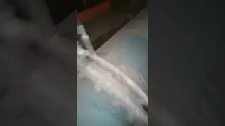 КТО ЭТО???