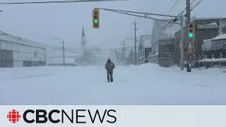 Nova Scotia hit with blizzard-like conditions, more snow on the way