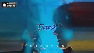 TARO - Winston (2022)