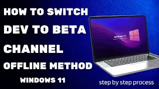 How To Switch Dev To Beta Channel Offline | Easy way to switch from dev to stable build