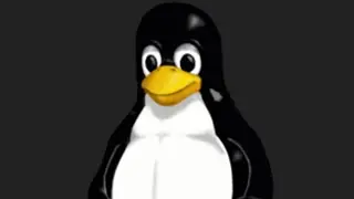 Which Linux distro do I use?