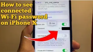 How to see connected wifi password on iPhone X