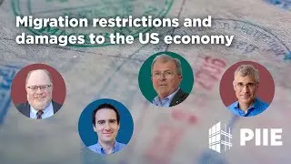 Migration restrictions and damages to the US economy