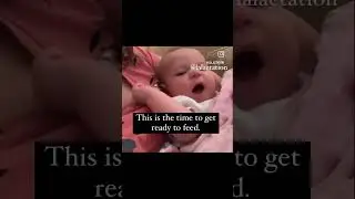 Baby hunger cues 