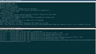 Linux APT MiTM Vulnerability