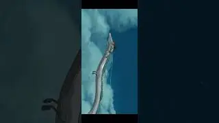 Fly