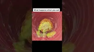 What happened when we eat - see full animation video