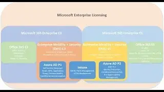 Microsoft 365 E3 and E5 Licensing