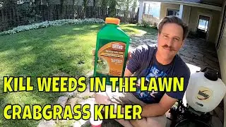 HOW TO KILL WEEDS and CRABGRASS Without Killing Grass - Weed Control