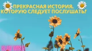 ЭТА ИСТОРИЯ - СКАЖЕТ ВАМ О МНОГОМ!  СЛУШАЙТЕ ВНИМАТЕЛЬНО!