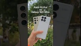 Poco F6 Pro vs Galaxy S24 Ultra Camera Comparison!