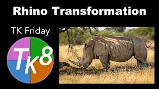 TK Friday Rhino Transformation Image by James May