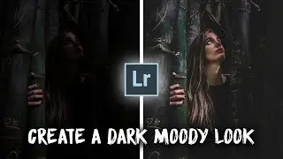 Create a Dark Moody Look in Lightroom