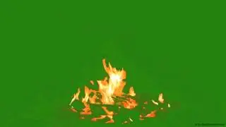 Real Fire Flame - green screen - free use