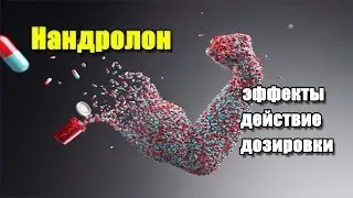 НАНДРОЛОН (ДЕКА) | описание препарата, эффекты, действие и дозировки