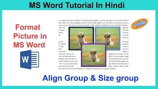 MS Word- Format Picture | Picture Format Tab| Part-III