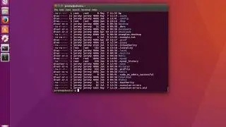 Linux Basics: How to List Directory Contents (ls)