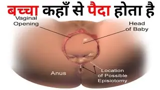 How is the baby पेट में बच्चा कैसे बनता है? pregnancy week by week mama