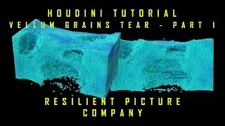 HOUDINI TUTORIAL - VELLUM GRAINS TEAR - PART I