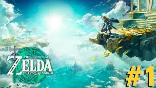 Legend of Zelda: Tears of the Kingdom Full Playthrough - Part 1