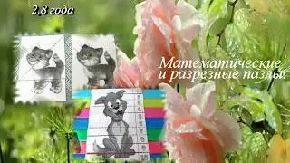 Раннее развитие.  Развитие памяти, внимания, образного мышления