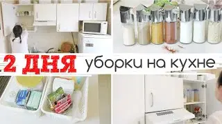 ДВА ДНЯ УБОРКИ НА КУХНЕ | ОРГАНИЗАЦИЯ СПЕЦИЙ