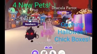 Adopt Me Halloween Update I Got The New Evil Chick, Ghost Chick, Zombie Chick and Marabou Stork!