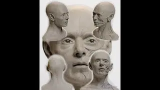 Лепка анатомической модели головы человека.Human head Anatomical reference model.