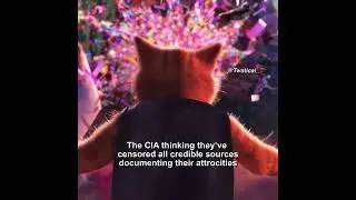 The CIA on Wikipedia (Puss in Boots meme)