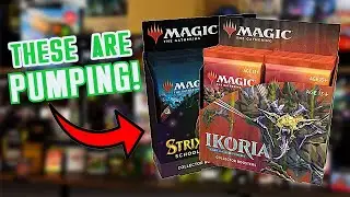 You Won't Believe the Price of These Collector Booster Boxes