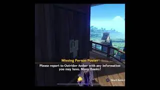 Best Place To Put Missing Person Poster | Genshin Impact 