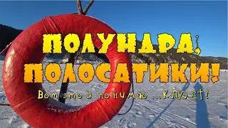 ✅ Клюет без прерыва! Ловля окуня на мормышку!