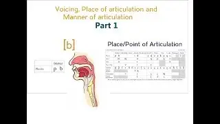 Voicing, Place & Manner of Articulation - Part 1