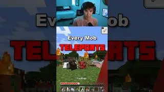 Minecraft, But Every 30 Seconds EVERY MOB TELEPORTS