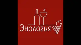 Международный день Мерло 🍷 Винный эксперт Анна Лапид